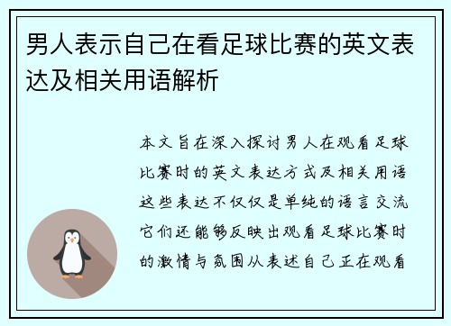 男人表示自己在看足球比赛的英文表达及相关用语解析