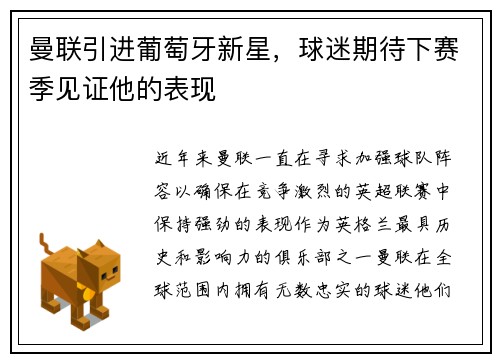 曼联引进葡萄牙新星，球迷期待下赛季见证他的表现